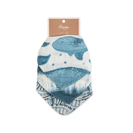 Caspian Muslin Bib Set