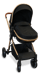 Convertible Stroller