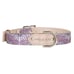 Leather Dog Collar - Large 18" to 24"