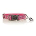 Collier en néoprène pour chien – Petit