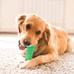 Brushing Stick Medium Heavy Chewer
