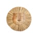 Décoration murale Lion