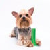 Brushing Stick Small Light Chewer